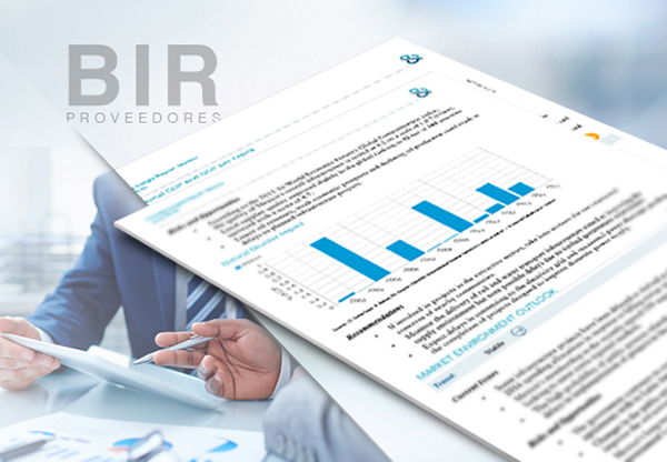 Báo cáo thông tin doanh nghiệp (BIR) cung cấp đầy đủ và chi tiết thông số dữ liệu của doanh nghiệp