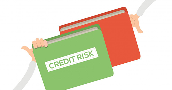 D&B Rating thể hiện mức điểm về rủi ro tín dụng của doanh nghiệp đó