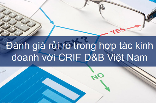 Giải pháp của CRIF D&B Việt Nam giúp bạn gia tăng lợi thế cạnh tranh cho doanh nghiệp